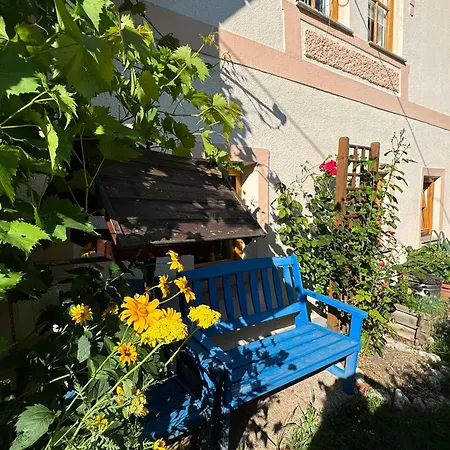 House 29