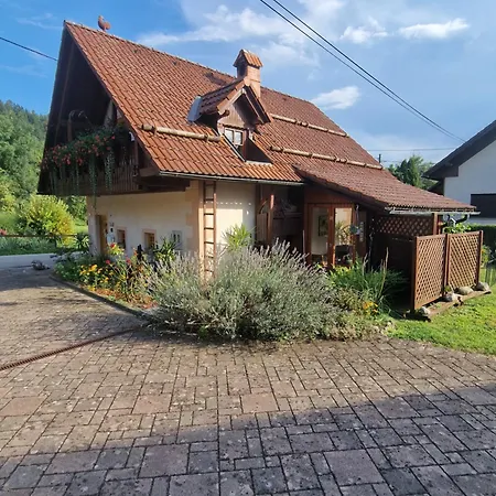 House 29