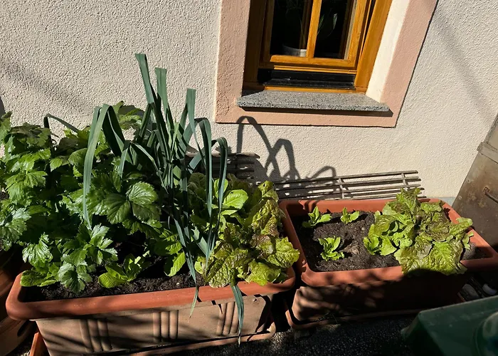 Hiša za goste House 29 Begunje na Gorenjskem