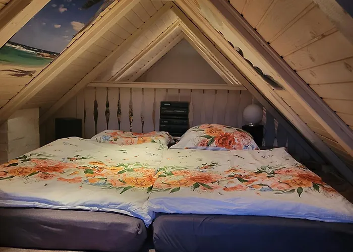 House 29 Hiša za goste *